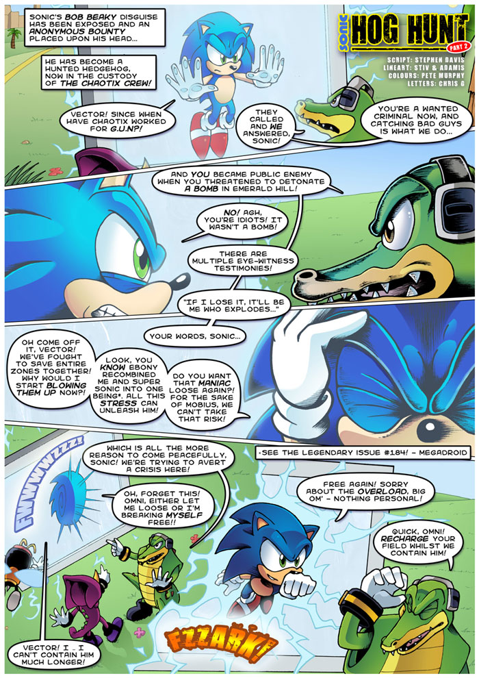 Why is Sonic being hunted?