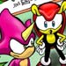 The Chaotix Crew